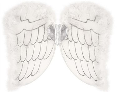CHILD ANGEL WINGS