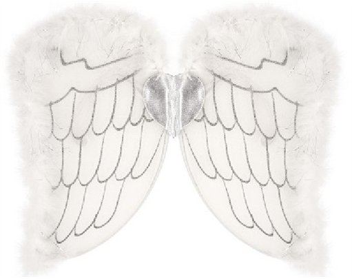 CHILD ANGEL WINGS