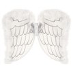 CHILD ANGEL WINGS