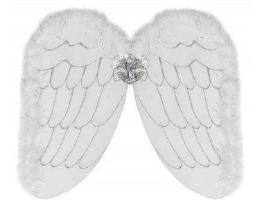 50X28CM ADULT ANGEL WINGS