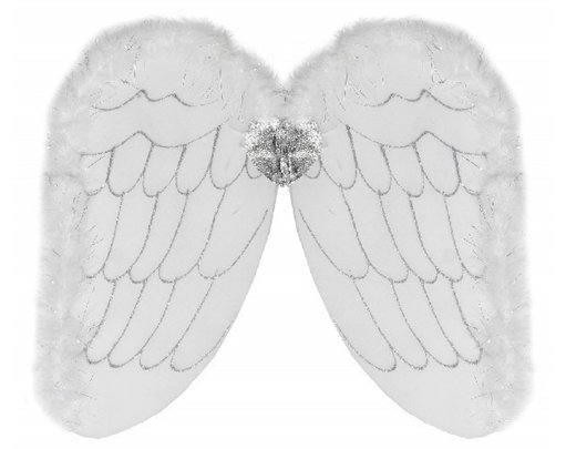 50X28CM ADULT ANGEL WINGS