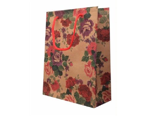 24.5X18X8CM BROWN PAPER FLORAL G/BAG  12S