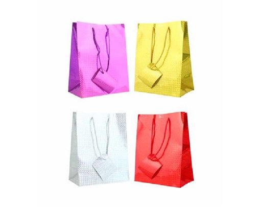 HOLOGRAPHIC LARGE G/BAG  12S