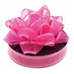 FUCHSIA ORGANZA RIBBON  12S