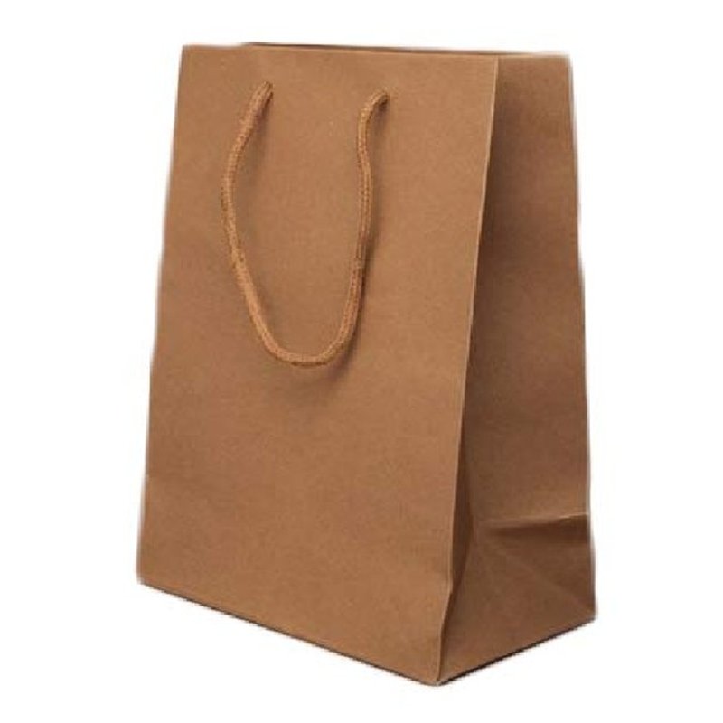 NATURAL BROWN MEDIUM GIFT BAG  12S