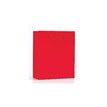 PLAIN RED SMALL G/BAG  6S