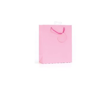 PLAIN PINK SMALL G/BAG  6S
