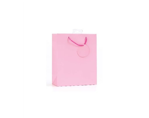 PLAIN PINK SMALL G/BAG  6S