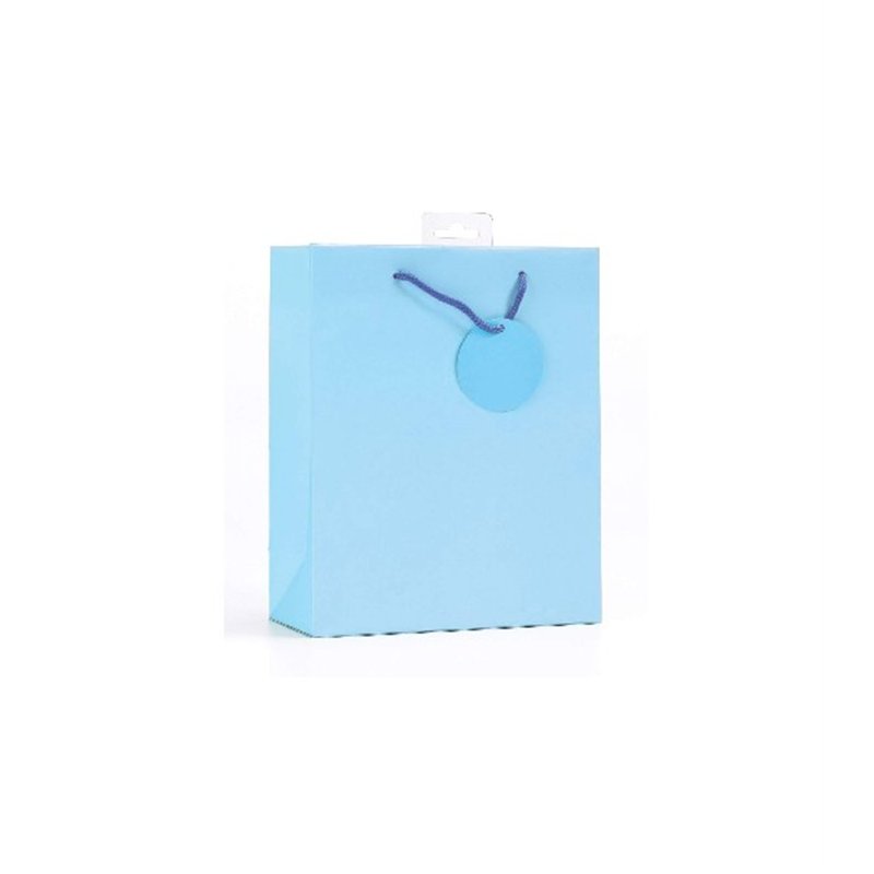 PLAIN LIGHT BLUE SMALL G/BAG  6S