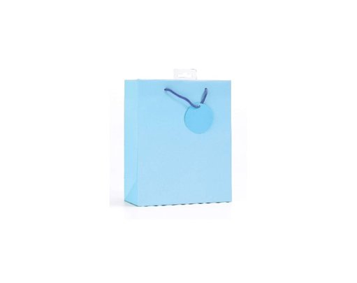 PLAIN LIGHT BLUE SMALL G/BAG  6S