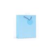 PLAIN LIGHT BLUE SMALL G/BAG  6S