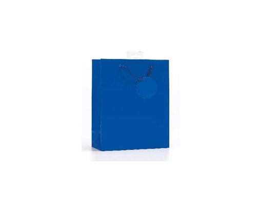 PLAIN BLUE SMALL G/BAG  6S