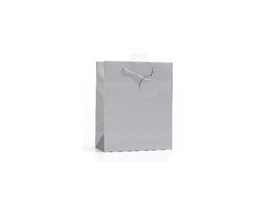 PLAIN SILVER SMALL G/BAG  6S