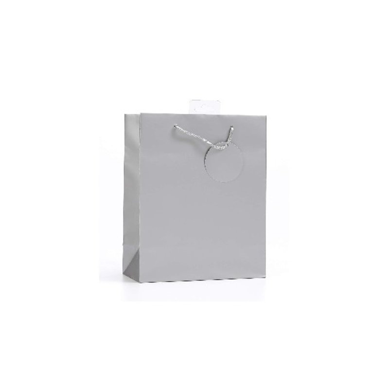 PLAIN SILVER SMALL G/BAG  6S
