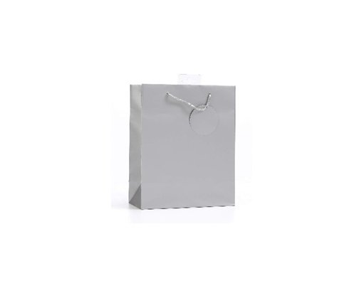 PLAIN SILVER SMALL G/BAG  6S