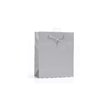 PLAIN SILVER SMALL G/BAG  6S