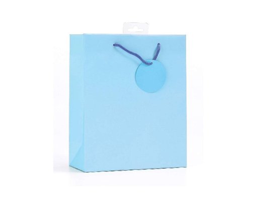 PLAIN LIGHT BLUE MEDIUM G/BAG  6S