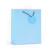 PLAIN LIGHT BLUE MEDIUM G/BAG  6S