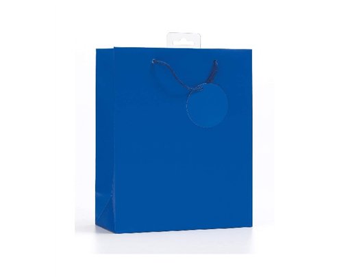 PLAIN BLUE MEDIUM G/BAG  6S