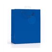 PLAIN BLUE MEDIUM G/BAG  6S