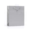 PLAIN SILVER MEDIUM G/BAG  6S
