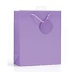 PLAIN LILAC LARGE G/BAG  6S