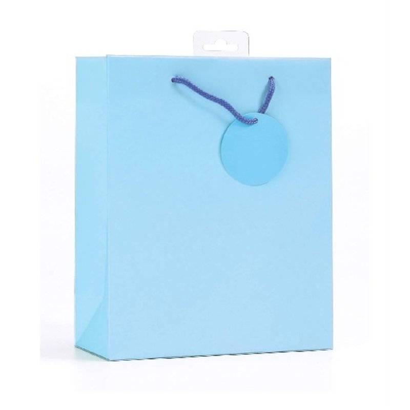 PLAIN LIGHT BLUE LARGE G/BAG  6S