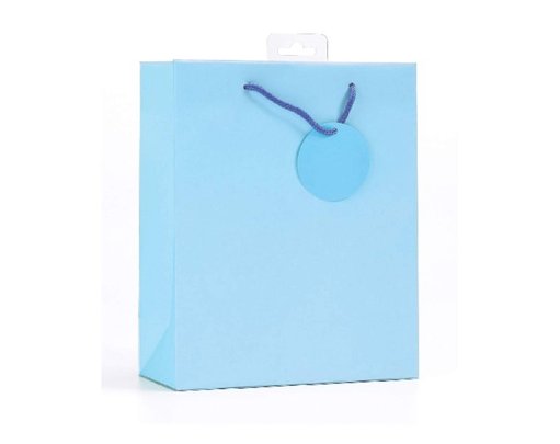 PLAIN LIGHT BLUE LARGE G/BAG  6S