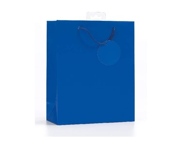 PLAIN BLUE LARGE G/BAG  6S