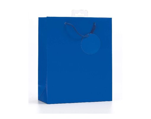 PLAIN BLUE LARGE G/BAG  6S