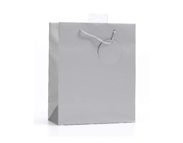 PLAIN SILVER LARGE G/BAG  6S