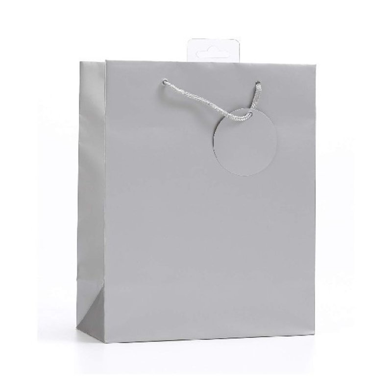 PLAIN SILVER LARGE G/BAG  6S