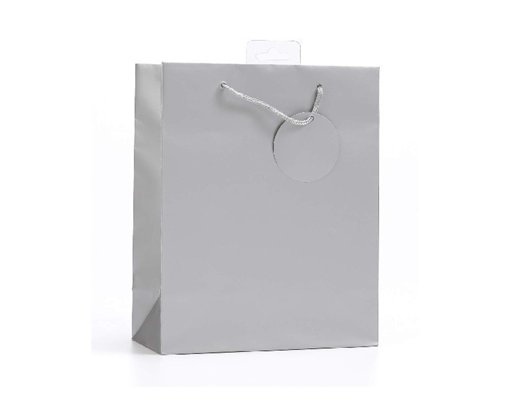 PLAIN SILVER LARGE G/BAG  6S