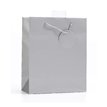 PLAIN SILVER LARGE G/BAG  6S