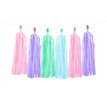 PASTEL MIX TASSEL GARLAND