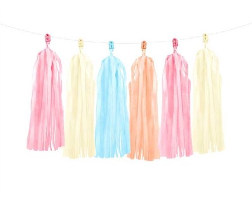 ASST COLOURS TASSEL GARLAND