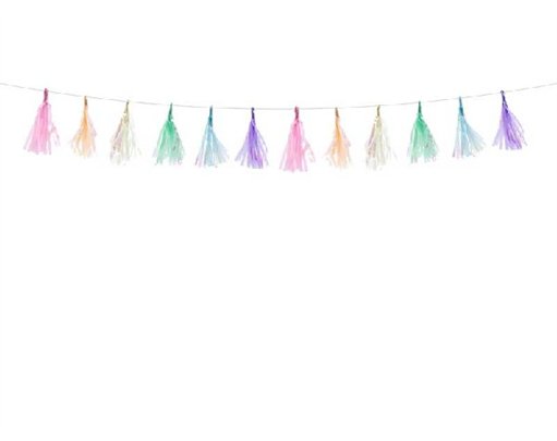 ASST COLOURS TASSEL GARLAND