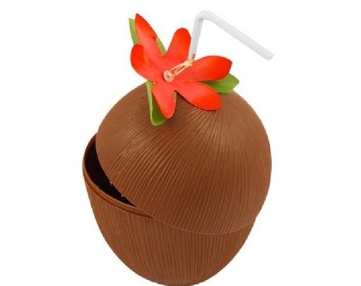 COCONUT CUP W/FLOWER & STRAW