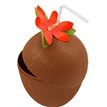 COCONUT CUP W/FLOWER & STRAW