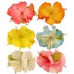 HIBISCUS FLOWER HAIR CLIP