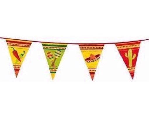 6M FIESTA BUNTING