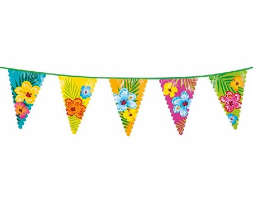 6M HIBISCUS GIANT BUNTING