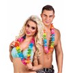 (25) LEIS ELENA