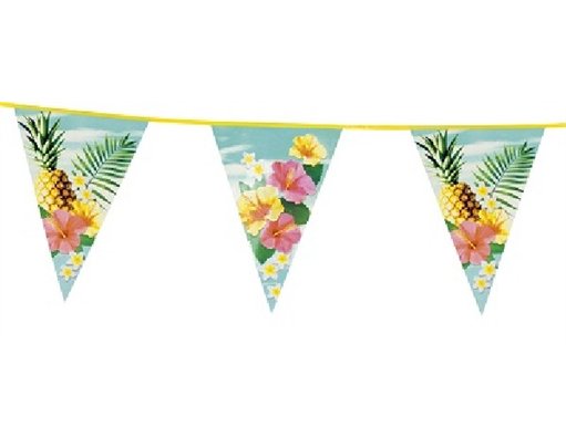 PARADISE BUNTING