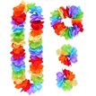 4PC RAINBOW HULA SET