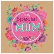 22.5CM SPECIAL MUM KRAFT M/DAY  6S