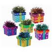 BALLOON WEIGHT GIFT BOX