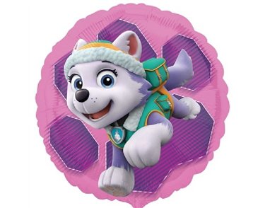 PAW PATROL SKYE & EVEREST 18IN FOIL