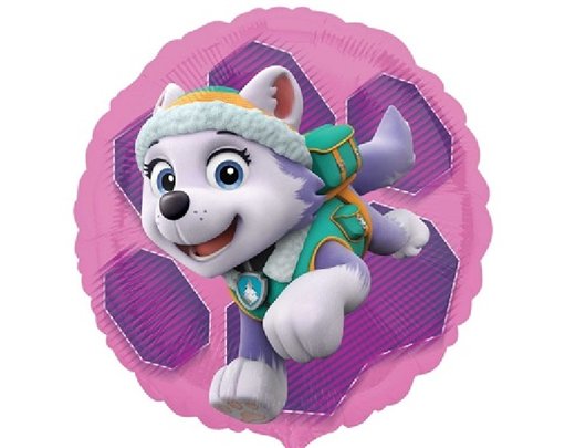 PAW PATROL SKYE & EVEREST 18IN FOIL