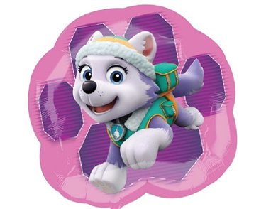 PAWPATROL SKYE & EVEREST S/SHAPE